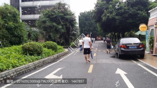 大學(xué)校園