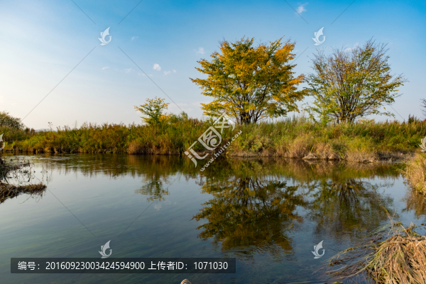 秋日流水