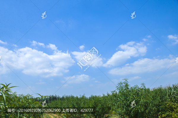 藍(lán)天,白云朵朵