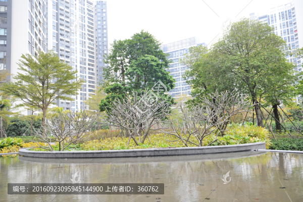 小區(qū)綠化