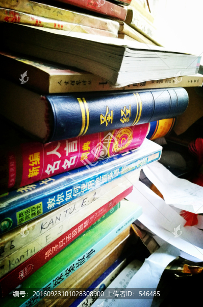 書堆,圣經
