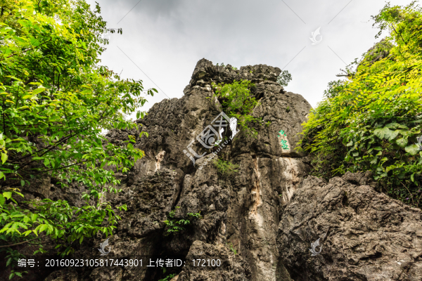天星橋景區(qū)