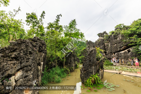 天星橋景區(qū)