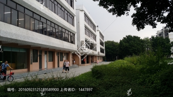 大學(xué)校園