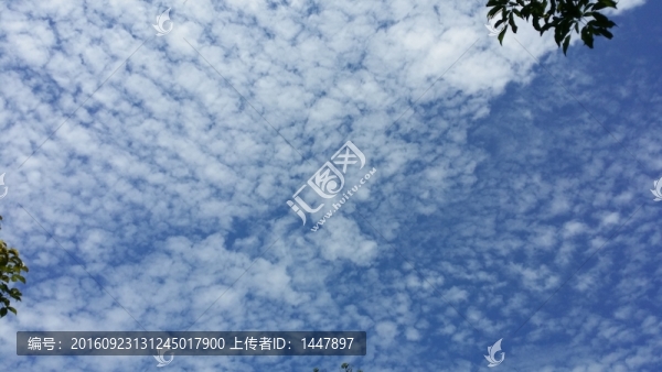 藍(lán)天白云
