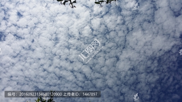 藍(lán)天白云
