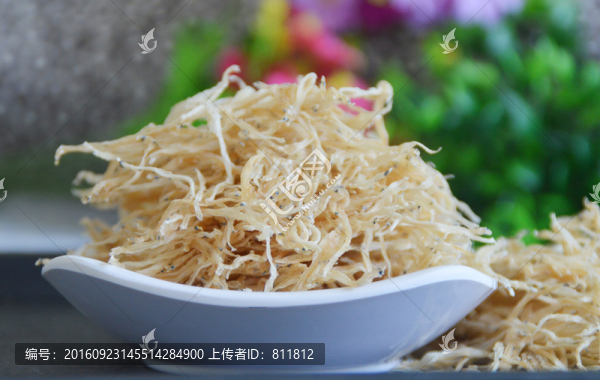 銀魚(yú)素材圖片