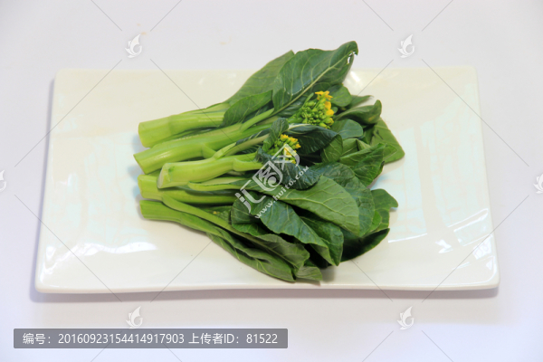 廣東菜芯
