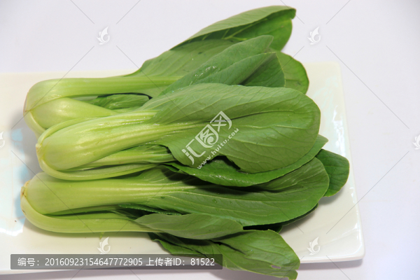 小白菜