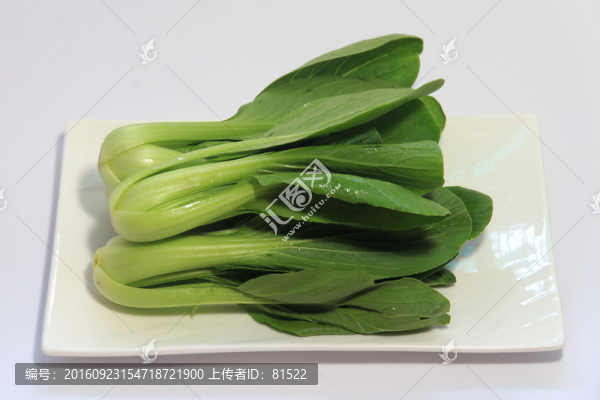 高清小白菜