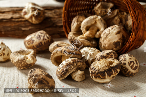 花菇,香菇