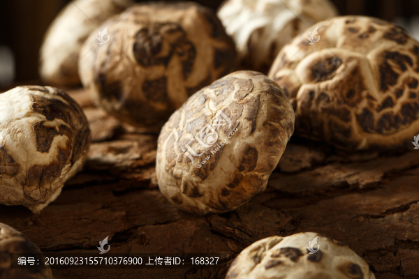 花菇,香菇