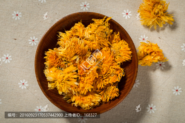 金盞菊
