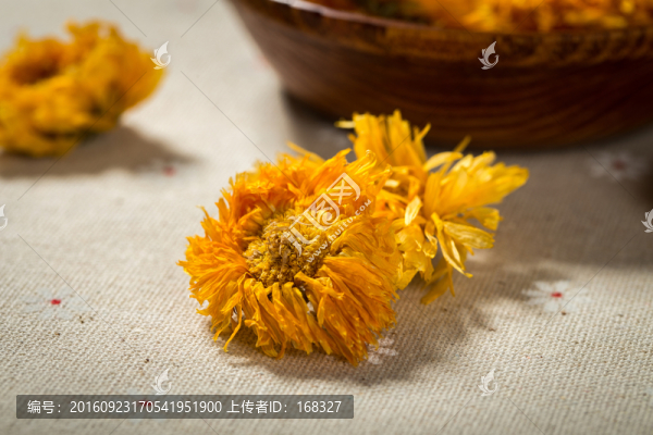 金盞菊