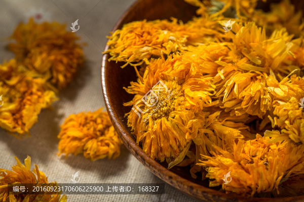 金盞菊