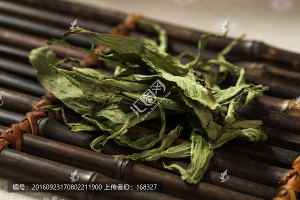甜菊葉
