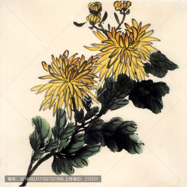 菊花,國(guó)畫,水墨畫