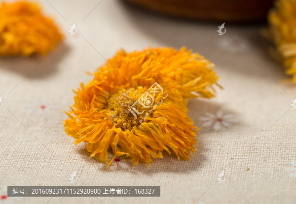 金盞菊