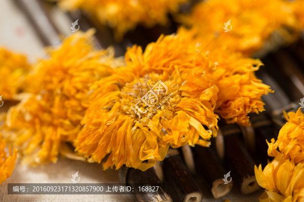 金盞菊