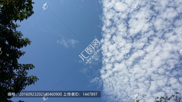 藍(lán)天白云