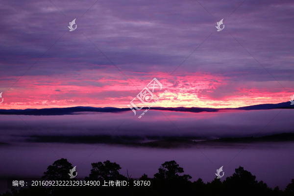 林海云霧朝陽