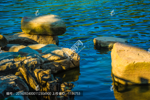 陽光下的湖景