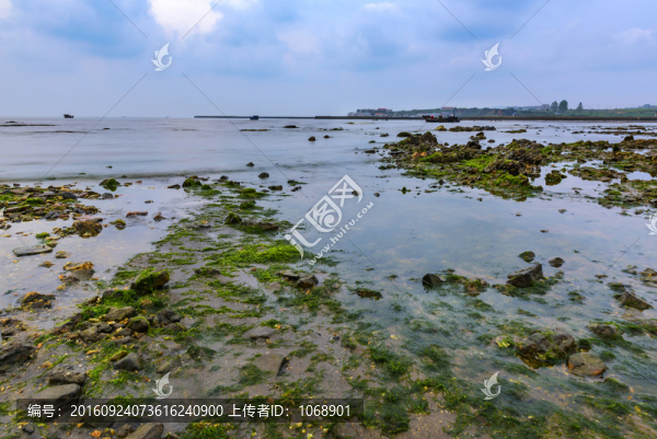 漁村海岸線,海草,礁石,漁船