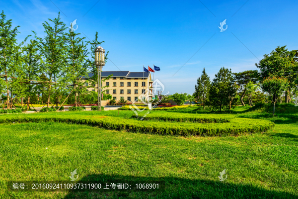 草坪,路燈,銀杏