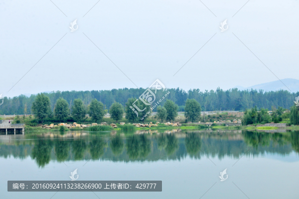 河岸風(fēng)景,沿河風(fēng)光
