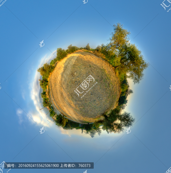 720全景圖之樹林