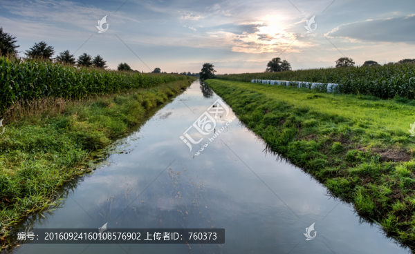 唯美自然風景之湖中水草