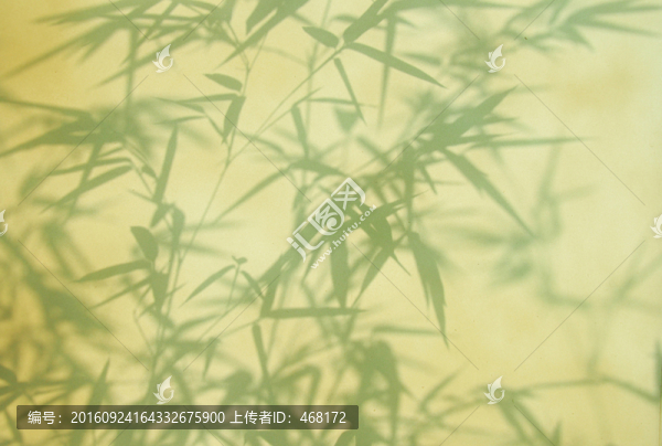復(fù)古泛黃竹子剪影