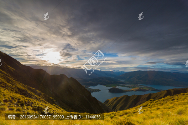 羅伊峰