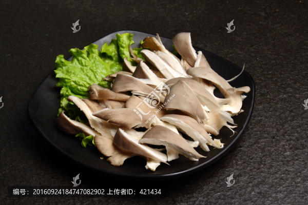 蘑菇