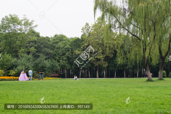 公園