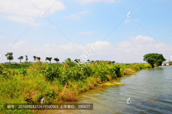 水鄉(xiāng)風(fēng)光