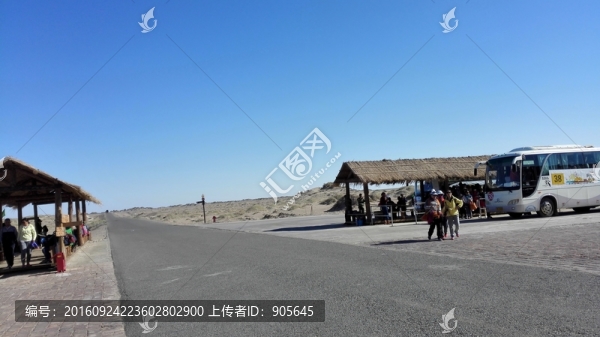怪樹林