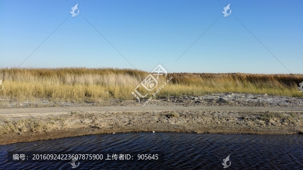湖泊