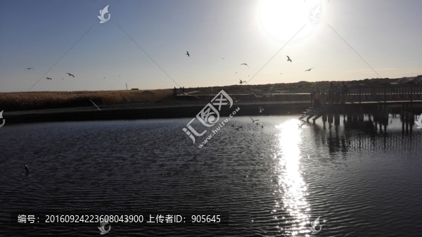 湖泊