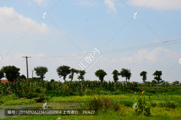 江南水鄉(xiāng)