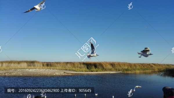 湖泊