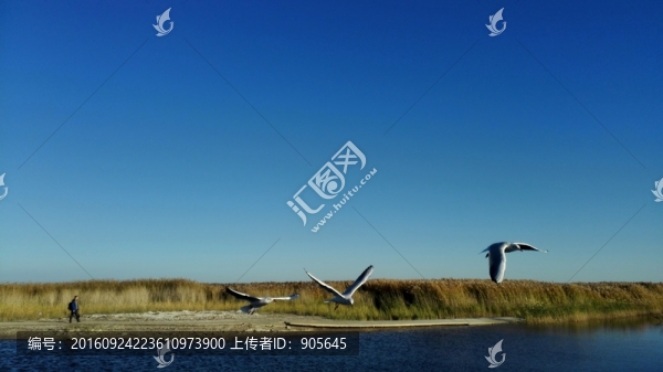 湖泊