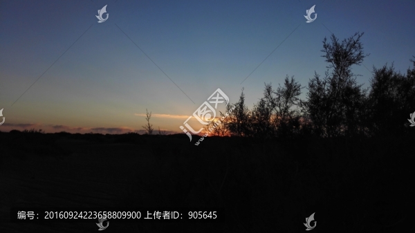 夕陽