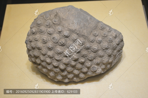石雕殘片