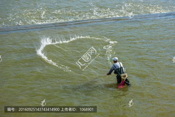 撒網(wǎng)捕魚