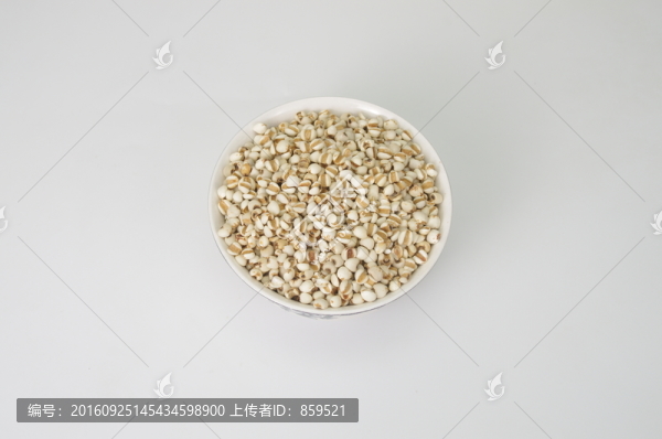 薏米