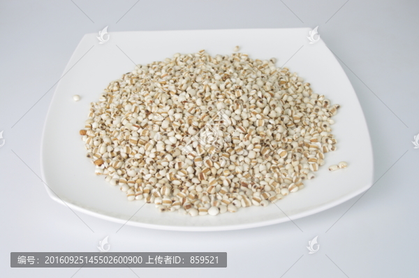 薏米