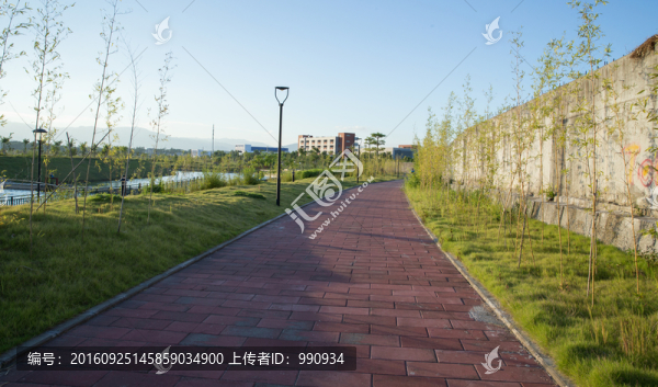 公園,小路,休閑,綠化