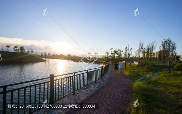 公園,小路,休閑,綠化