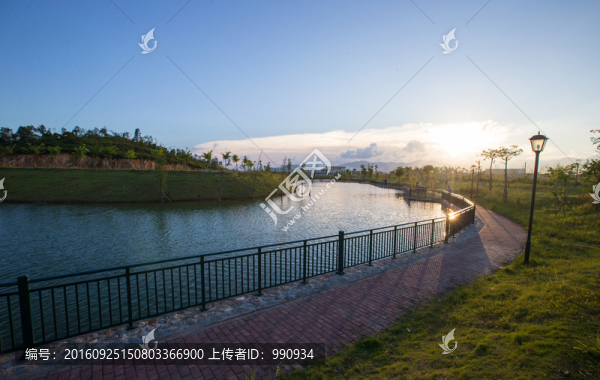 公園,小路,休閑,綠化